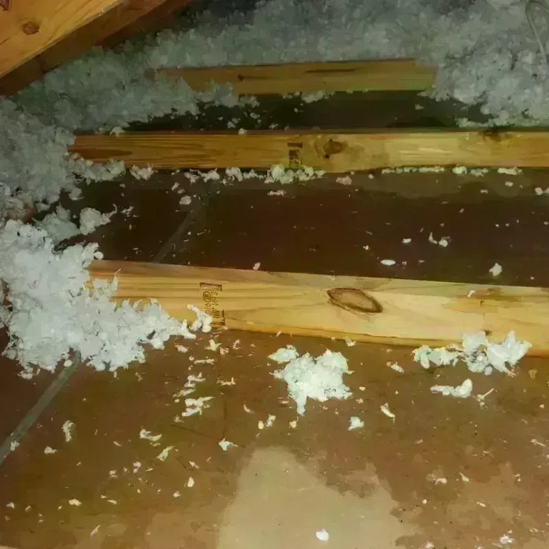 Attic Water Damage in Martorell, PR